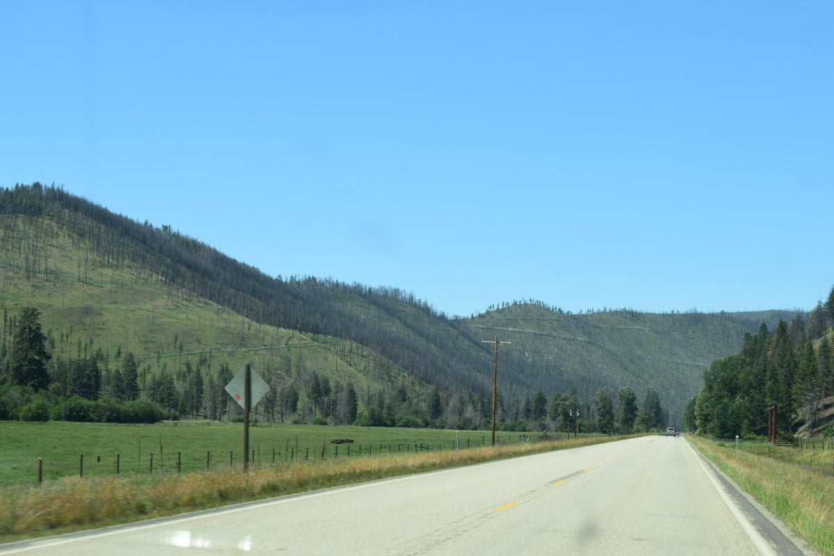 nez perce clearwater national forest