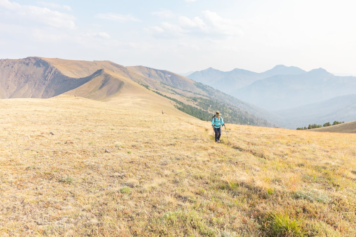 shoshone national forest