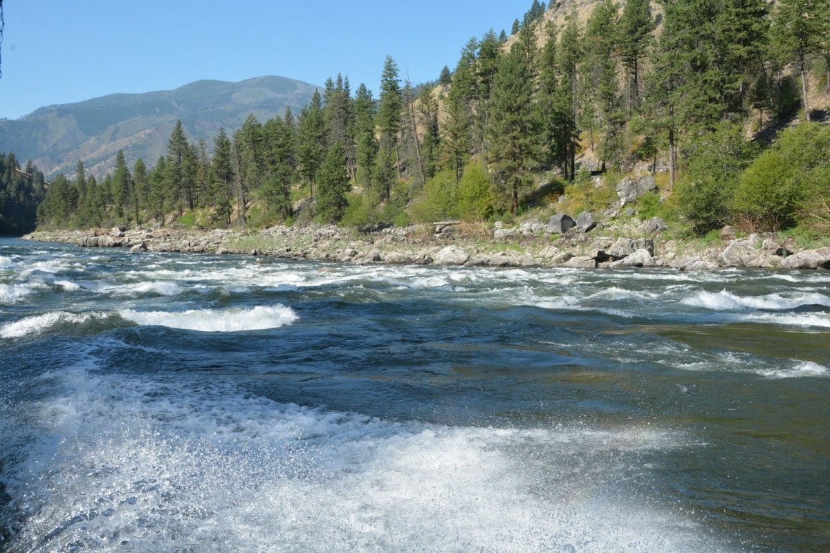 nez perce clearwater national forest