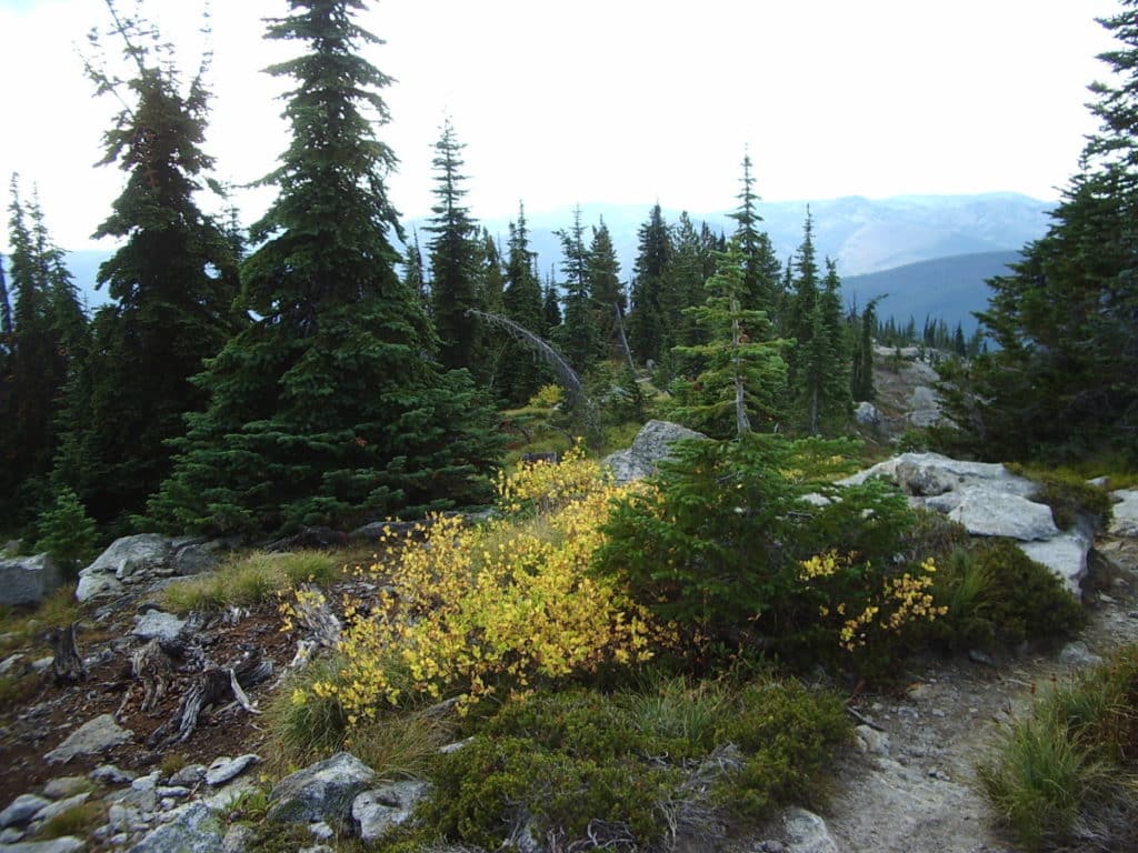 The Ultimate Guide to Bitterroot National Forest - Alex on the Map