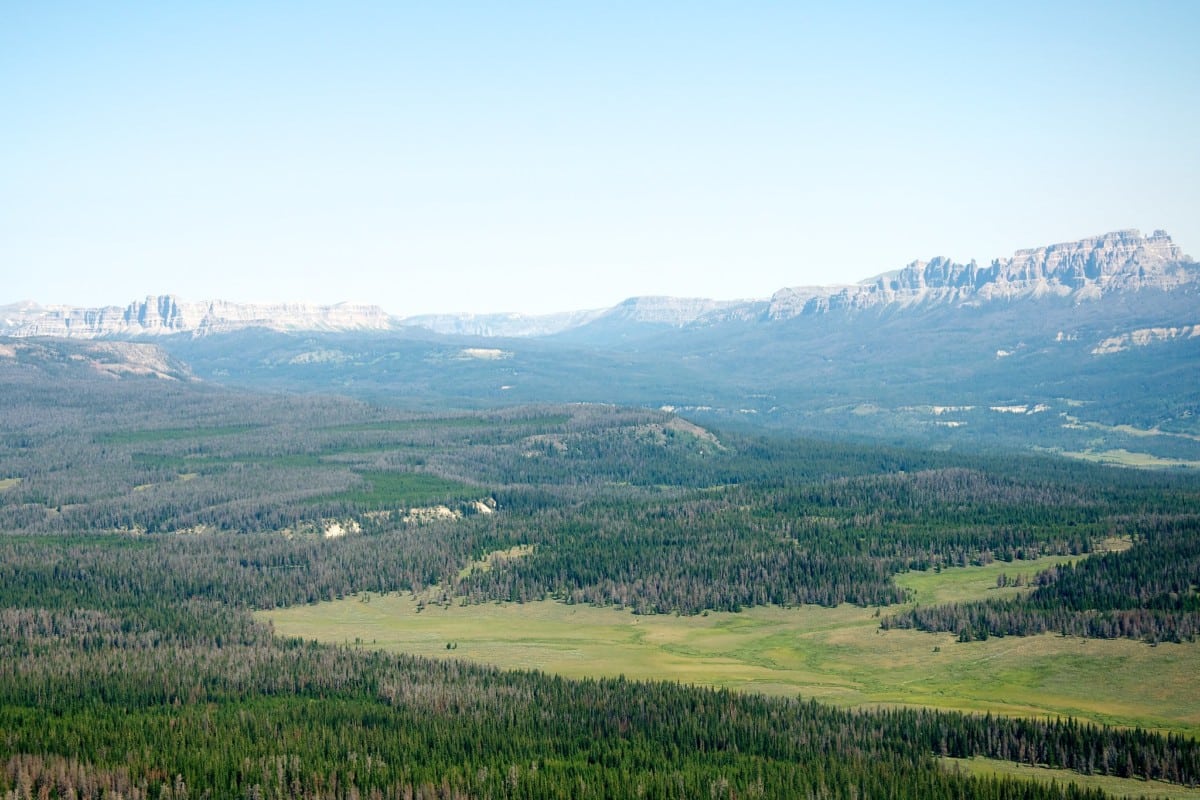 shoshone national forest