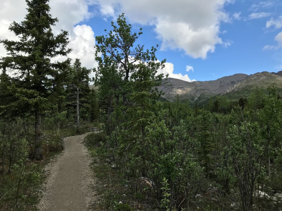 savage alpine trail