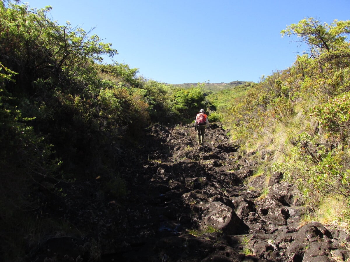 haleakala hikes