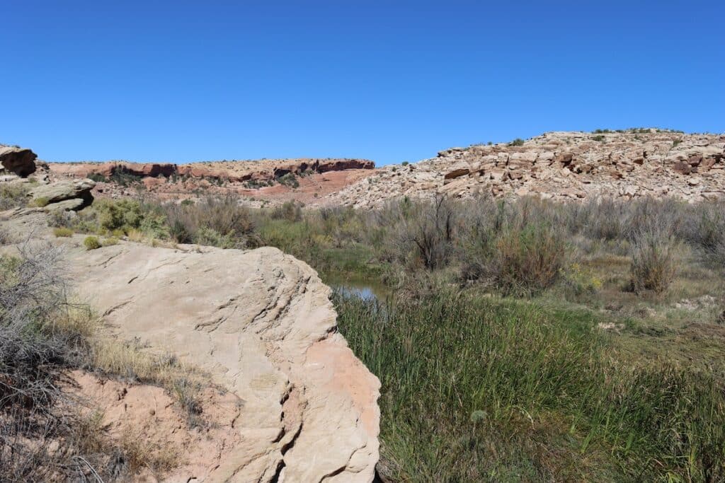 a view on the delicate arch trail