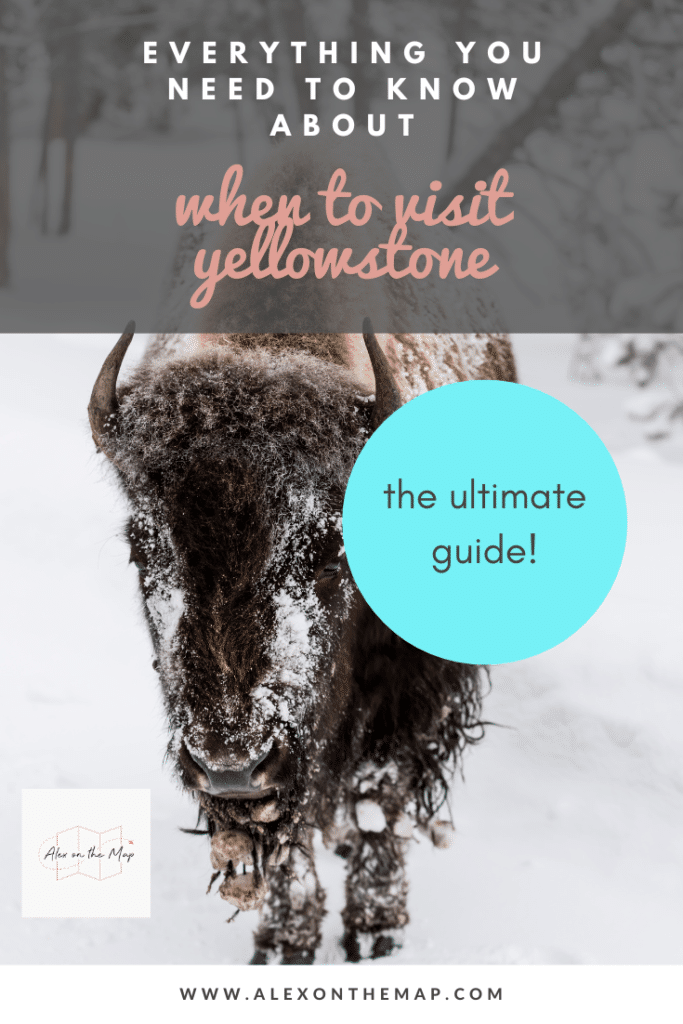 when to visit yellowstone national park