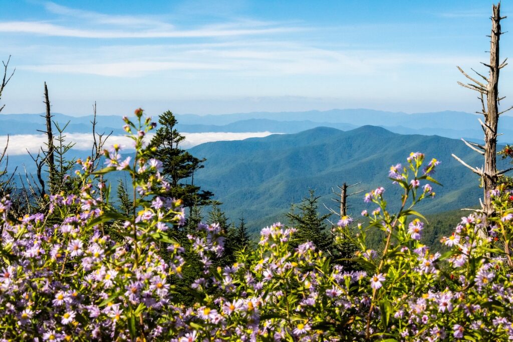 great smoky mountains national park in the springtime