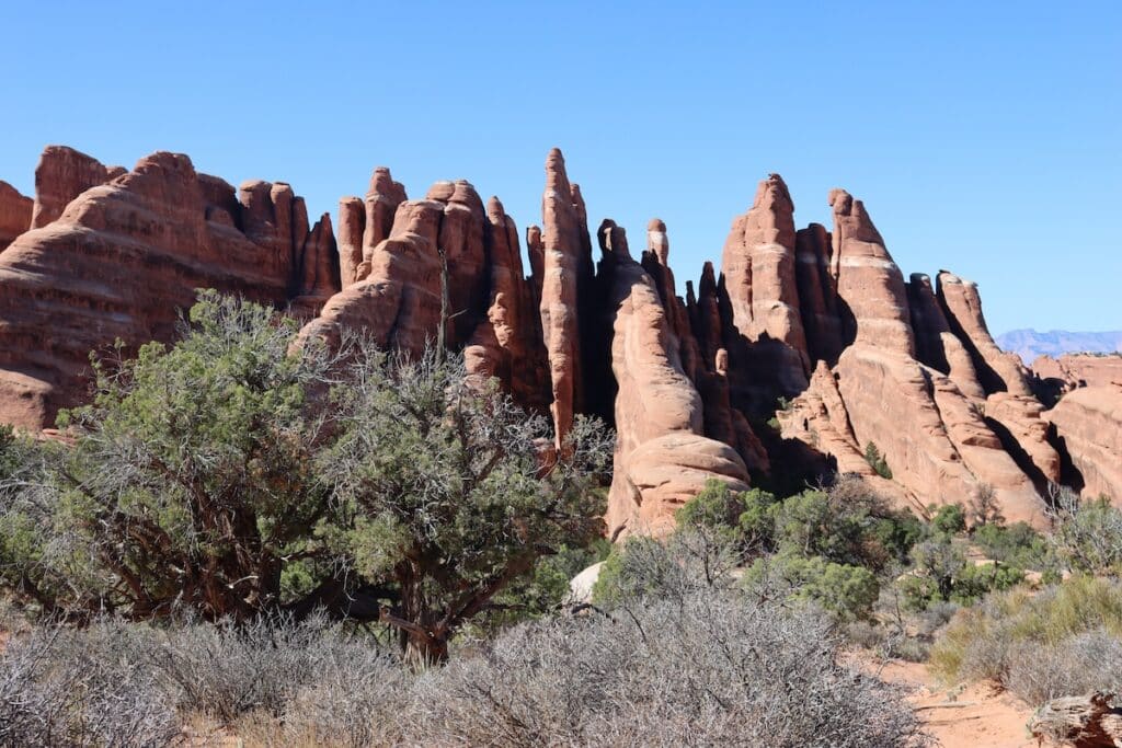 rock formations in devils garden in arches national park