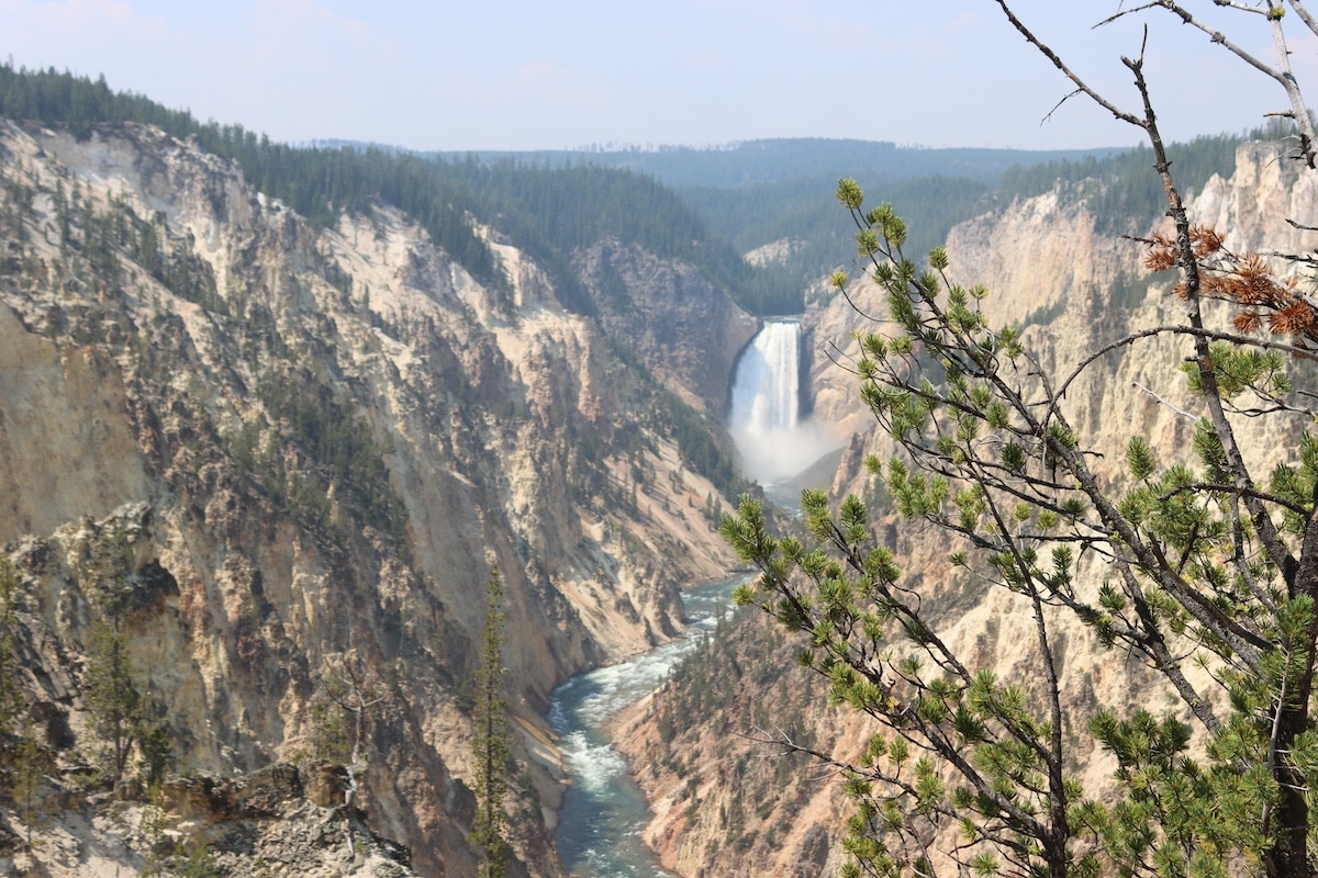 grand canyon of the yellowstone