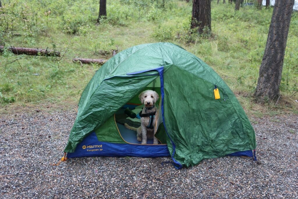 gravy at norbury provincial park
