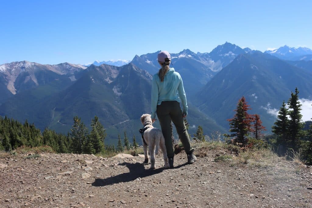 alex and gravy enjoying views on the lakit lookout hike