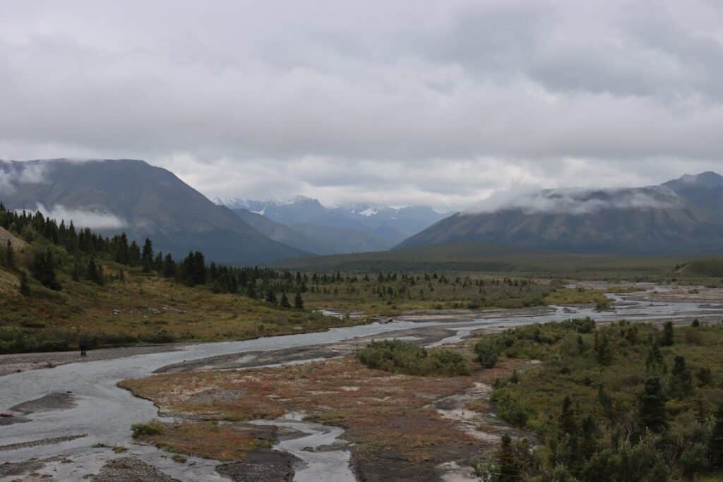 the savage river in denali national park