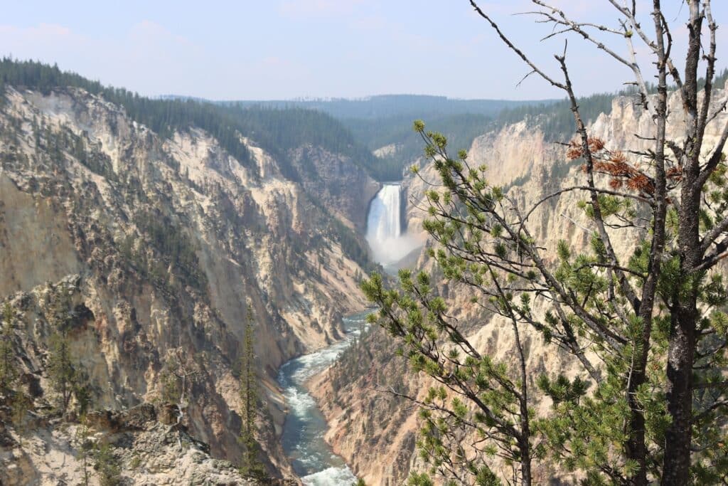 grand canyon of the yellowstone